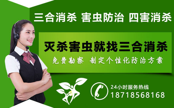 深圳殺蟲公司 深圳殺蟲公司