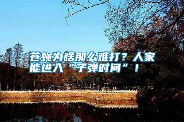 蒼蠅為啥那么難打?人家能進(jìn)入“子彈時(shí)間”!