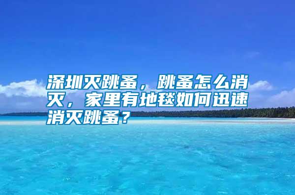 深圳滅跳蚤，跳蚤怎么消滅，家里有地毯如何迅速消滅跳蚤？