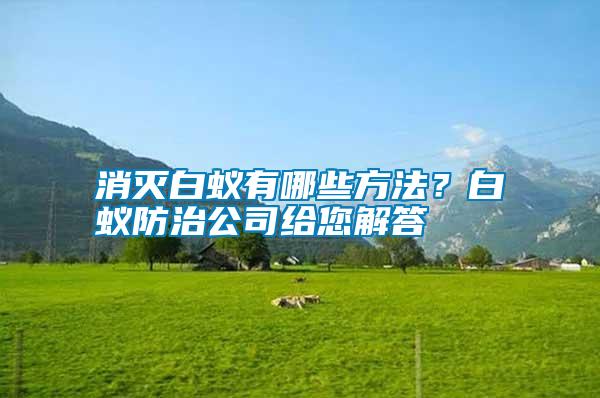 消滅白蟻有哪些方法?白蟻防治公司給您解答