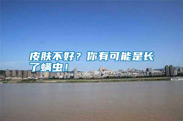 皮膚不好?你有可能是長了螨蟲!