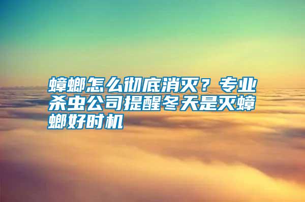 蟑螂怎么徹底消滅?專業(yè)殺蟲公司提醒冬天是滅蟑螂好時機(jī)