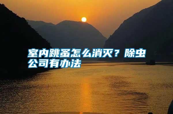 室內跳蚤怎么消滅？除蟲公司有辦法