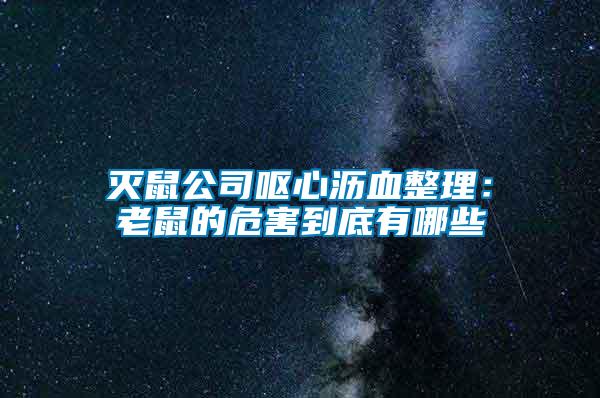 滅鼠公司嘔心瀝血整理:老鼠的危害到底有哪些
