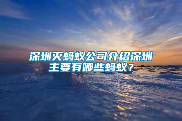 深圳滅螞蟻公司介紹深圳主要有哪些螞蟻?