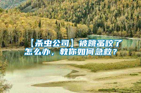 【殺蟲公司】被跳蚤咬了怎么辦,教你如何急救?