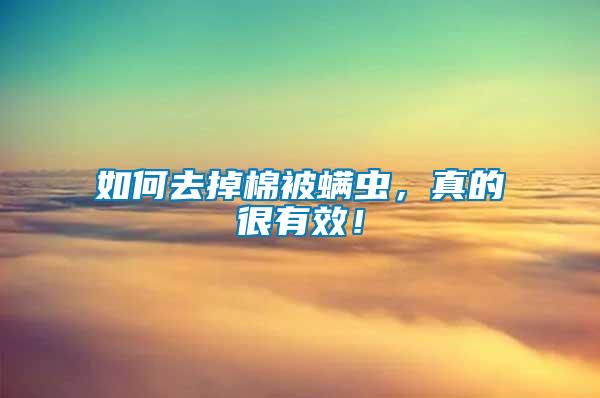 如何去掉棉被螨蟲，真的很有效！