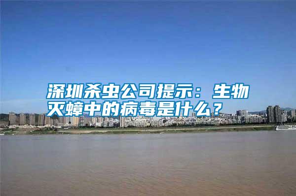 深圳殺蟲公司提示:生物滅蟑中的病毒是什么?