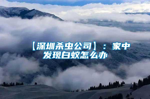 【深圳殺蟲(chóng)公司】:家中發(fā)現(xiàn)白蟻怎么辦
