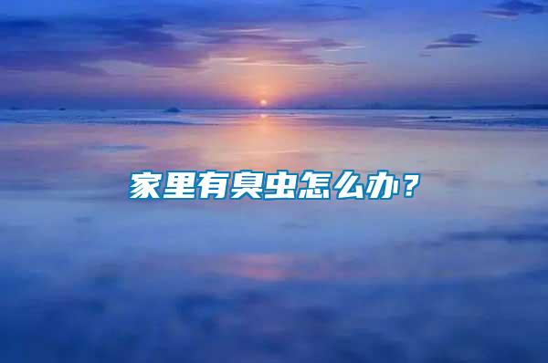 家里有臭蟲怎么辦?