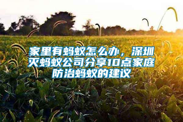 家里有螞蟻怎么辦,深圳滅螞蟻公司分享10點(diǎn)家庭防治螞蟻的建議