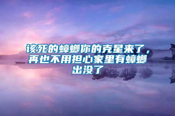 該死的蟑螂你的克星來了，再也不用擔心家里有蟑螂出沒了