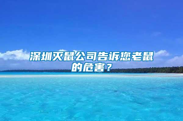 深圳滅鼠公司告訴您老鼠的危害?