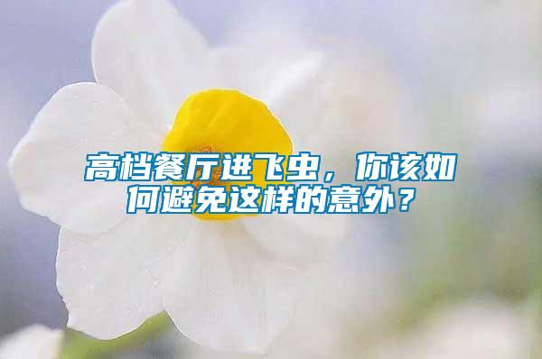高檔餐廳進飛蟲,你該如何避免這樣的意外?