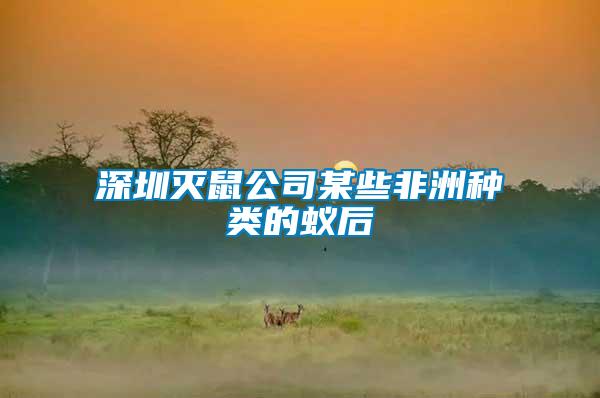 深圳滅鼠公司某些非洲種類(lèi)的蟻后