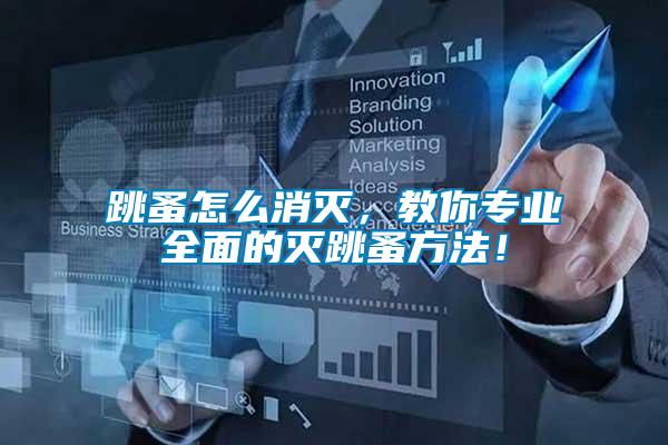 跳蚤怎么消滅，教你專業(yè)全面的滅跳蚤方法！