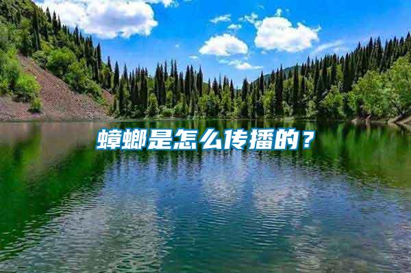 蟑螂是怎么傳播的?