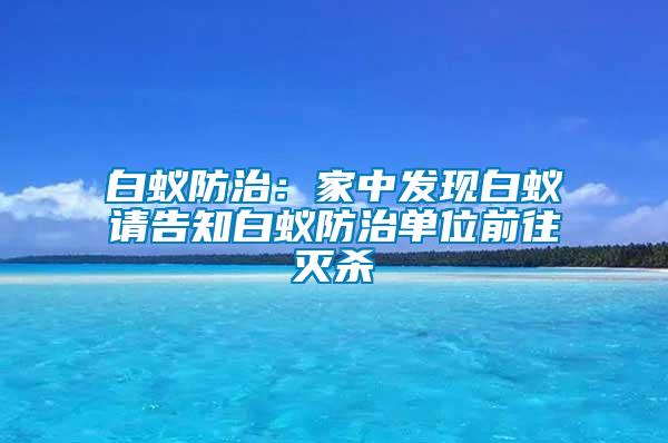 白蟻防治:家中發現白蟻請告知白蟻防治單位前往滅殺