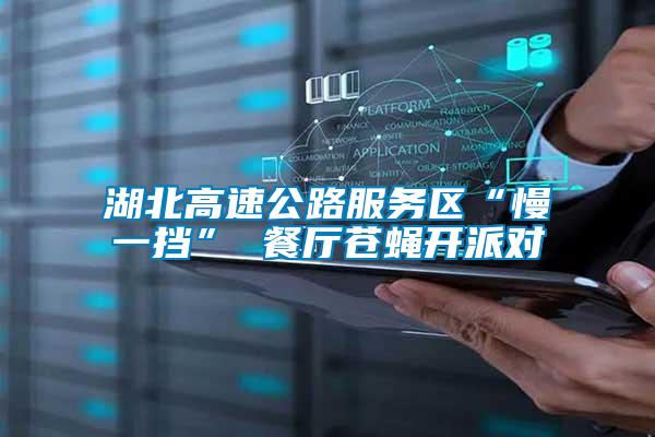 湖北高速公路服務(wù)區(qū)“慢一擋” 餐廳蒼蠅開派對