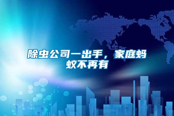 除蟲公司一出手,家庭螞蟻不再有