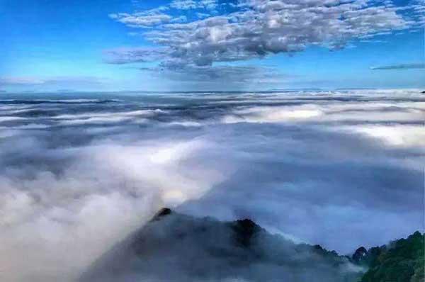 簡述深圳滅跳蚤的常用方法!