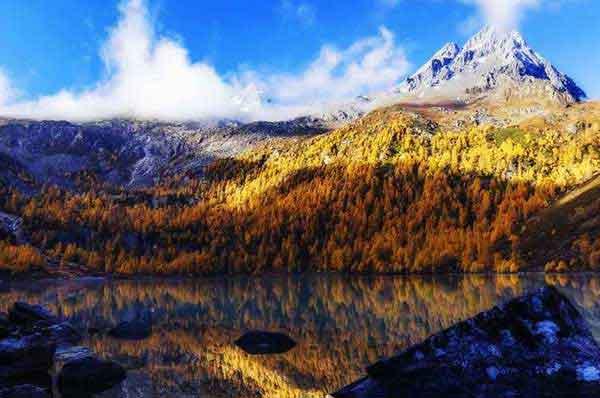 家里有臭蟲怎么辦?莫驚慌,保持衛(wèi)生、燙曬來除蟲!