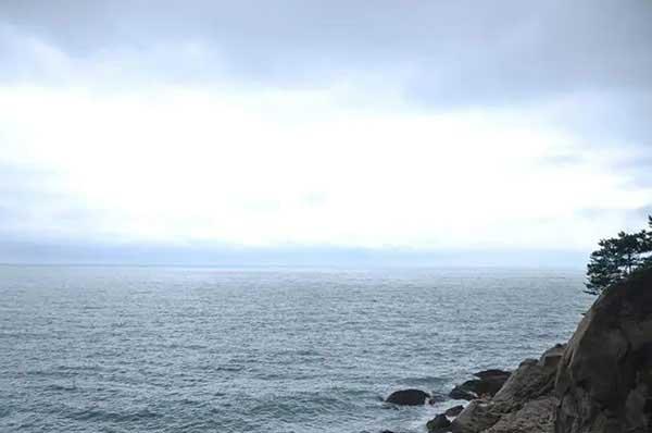 【殺蟲(chóng)公司】跳蚤怎么消滅？6招教你家里有跳蚤怎么殺更徹底