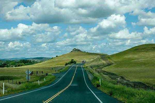 危險的預防:紅火蟻