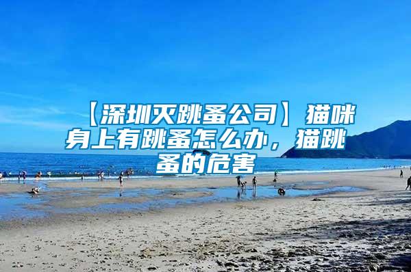 【深圳滅跳蚤公司】貓咪身上有跳蚤怎么辦，貓?zhí)榈奈：?/></p>
             <p style=