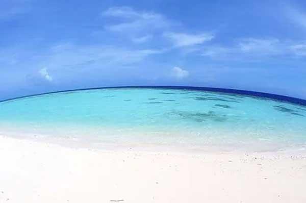 專業滅螞蟻,螞蟻的危害不容忽視