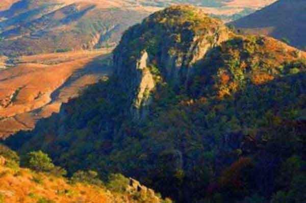 家里發現螞蟻怎么辦？怎么消滅螞蟻？