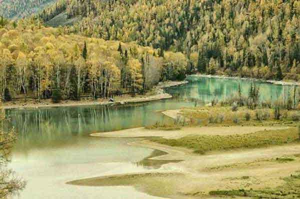 深圳哪里有殺白蟻,白蟻和蜜蜂、螞蟻一樣,有著明確的社會結構