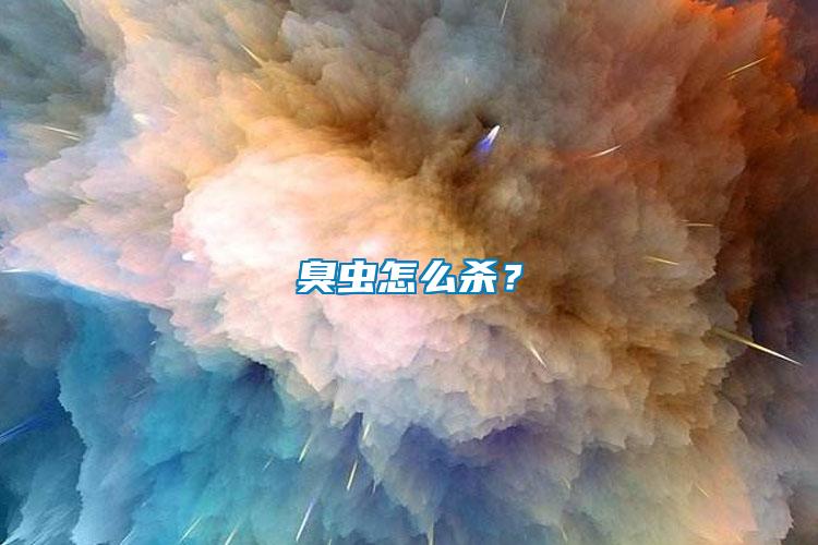 臭蟲怎么殺？