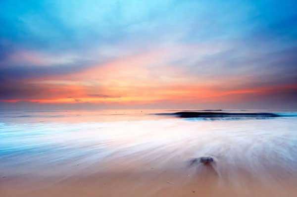 簡(jiǎn)述深圳滅跳蚤的常用方法！