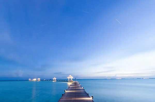 跳蚤怎么消滅,以及家庭出現跳蚤的原因