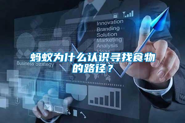 螞蟻為什么認識尋找食物的路徑?