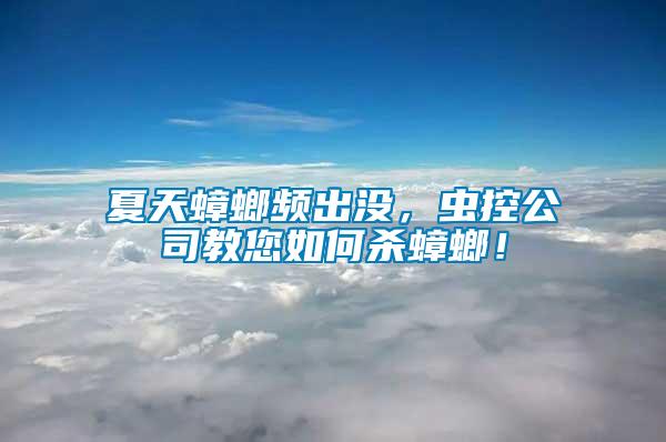 夏天蟑螂頻出沒,蟲控公司教您如何殺蟑螂!