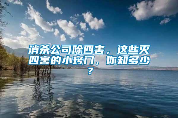 消殺公司除四害,這些滅四害的小竅門,你知多少?