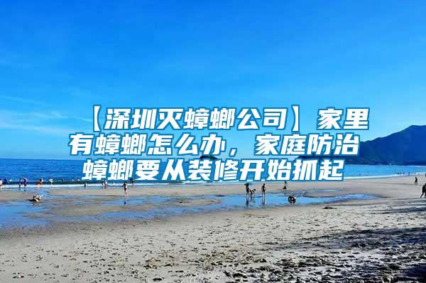 【深圳滅蟑螂公司】家里有蟑螂怎么辦,家庭防治蟑螂要從裝修開始抓起