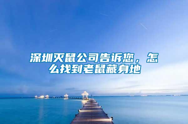 深圳滅鼠公司告訴您,怎么找到老鼠藏身地