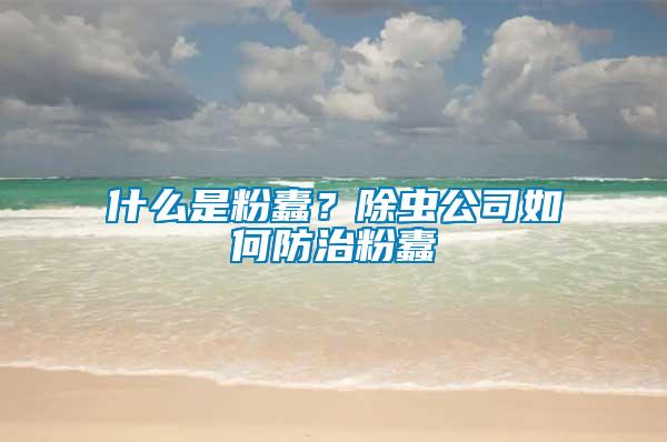 什么是粉蠹?除蟲公司如何防治粉蠹