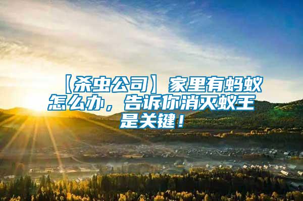 【殺蟲公司】家里有螞蟻怎么辦，告訴你消滅蟻王是關鍵！