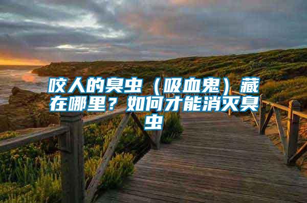 咬人的臭蟲(吸血鬼)藏在哪里?如何才能消滅臭蟲