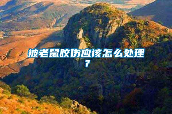 被老鼠咬傷應該怎么處理?