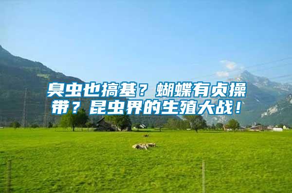 臭蟲也搞基？蝴蝶有貞操帶？昆蟲界的生殖大戰！