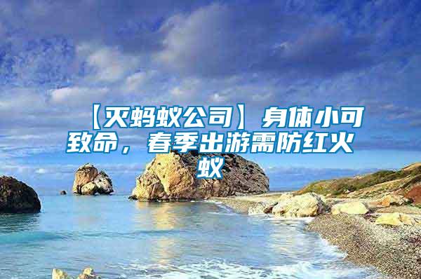 【滅螞蟻公司】身體小可致命，春季出游需防紅火蟻