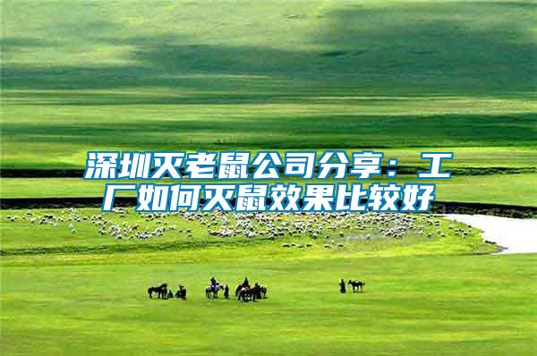 深圳滅老鼠公司分享:工廠如何滅鼠效果比較好