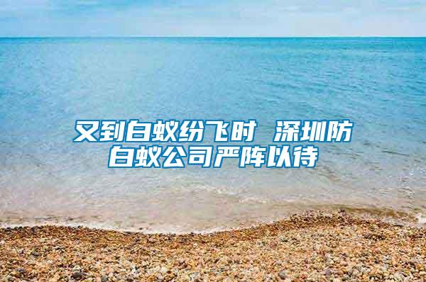 又到白蟻紛飛時 深圳防白蟻公司嚴(yán)陣以待