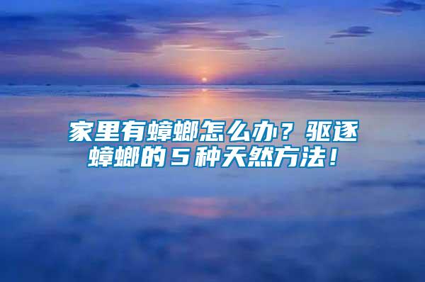 家里有蟑螂怎么辦?驅(qū)逐蟑螂的5種天然方法!