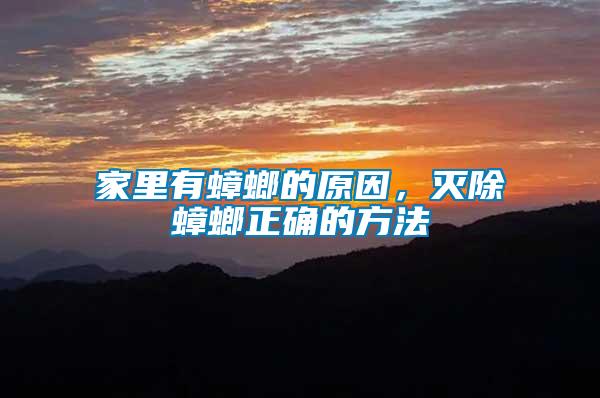 家里有蟑螂的原因,滅除蟑螂正確的方法